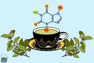 The Buzz About Caffeine Pouches: Are They Finally Here to Replace Coffee and Energy Drinks?