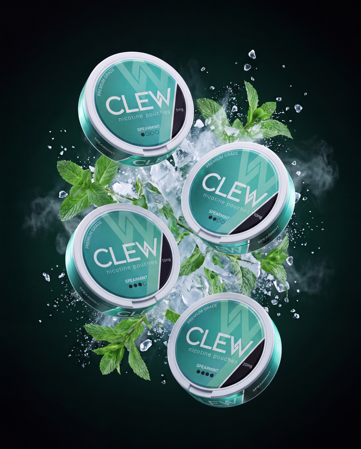 zy-bundle:clew-spearmint-bundle